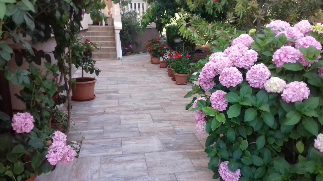 Apartments Filipovic Biograd Na Moru Bagian luar foto