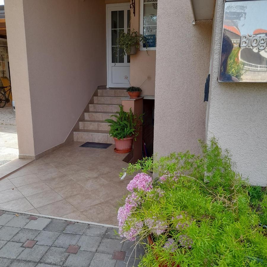Apartments Filipovic Biograd Na Moru Bagian luar foto