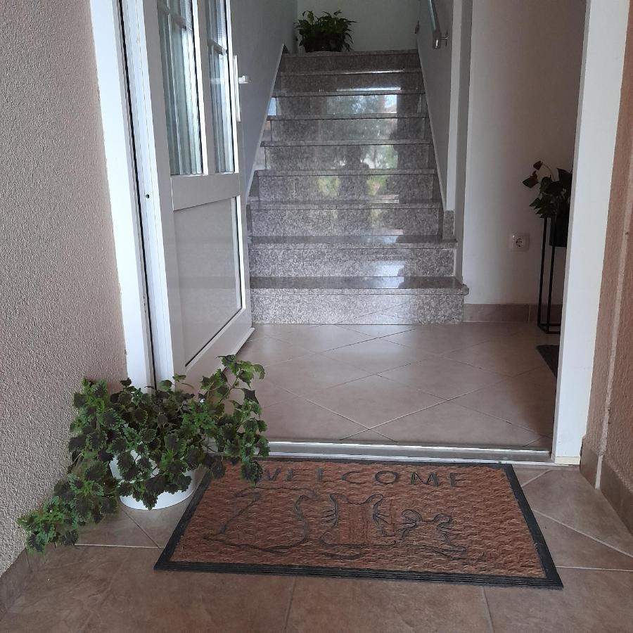 Apartments Filipovic Biograd Na Moru Bagian luar foto